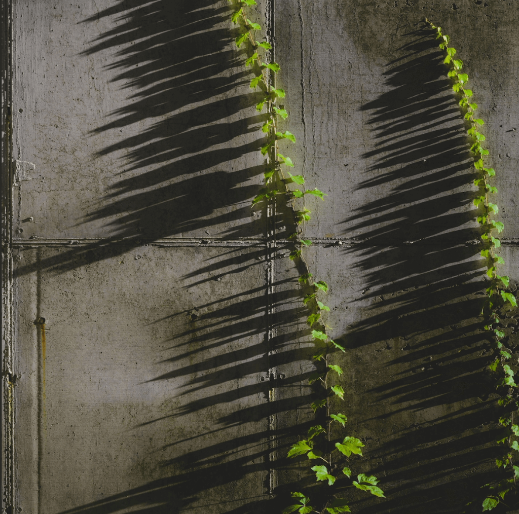 Legacy, Resilience, and Building America with Cheryl McKissick Daniel